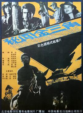 秘闯金三角海报剧照