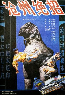 沧州绝招海报剧照