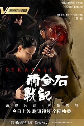 雨金石战记海报剧照