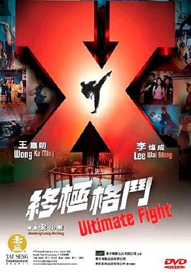 终极格斗海报剧照