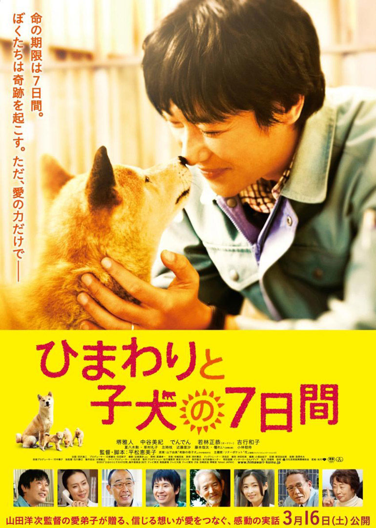 第七日的奇迹海报剧照
