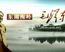 东湖梅岭毛泽东海报剧照