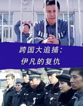 跨国大追捕：伊凡的复仇海报剧照