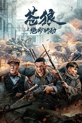 苍狼之绝命行动海报剧照