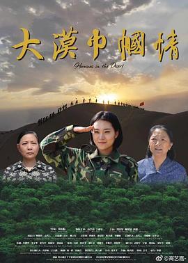 大漠巾帼情海报剧照