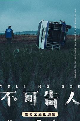 不可告人2024海报剧照