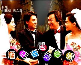 酒店奇遇结良缘海报剧照