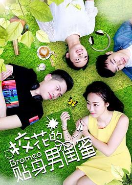 校花的贴身男闺蜜海报剧照