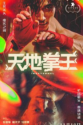 天地拳王粤语海报剧照