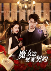魔女的秘密契约海报剧照