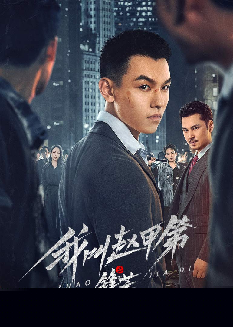 我叫赵甲第之锋芒海报剧照