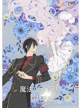 魔法少女与恶曾是敌人。海报剧照