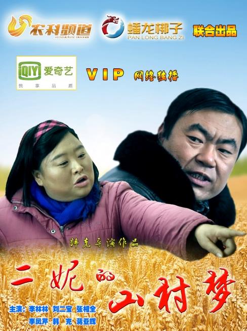 二妮的山村梦海报剧照