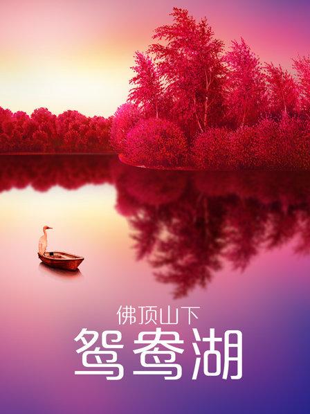 佛顶山下鸳鸯湖海报剧照