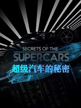 超级汽车的秘密海报剧照