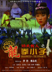 功夫传人之龙拳小子海报剧照