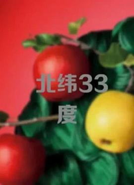 北纬33度海报剧照