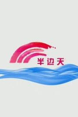 半边天海报剧照