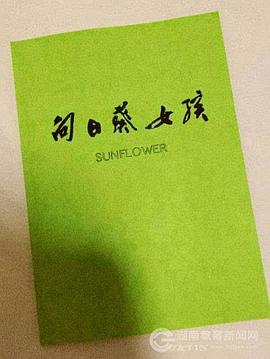 向日葵女孩海报剧照