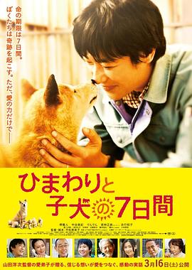 向日葵与幼犬的7天海报剧照