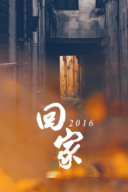 回家2016海报剧照