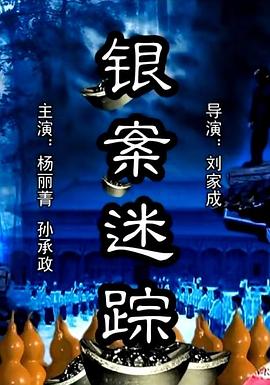 银案迷踪海报剧照
