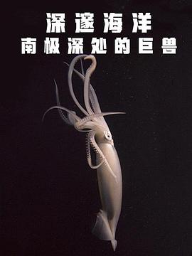 深邃海洋：南极深处的巨兽海报剧照