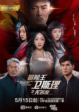 冒险王卫斯理之无名发粤语海报剧照