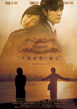不能说的秘密2007海报剧照