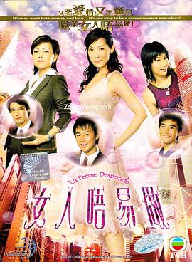 女人不易做国语海报剧照