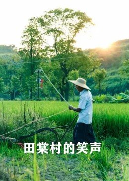 田棠村的笑声海报剧照