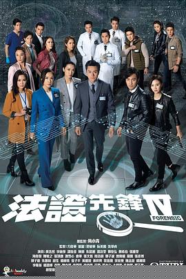 法证先锋4国语海报剧照