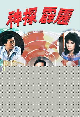 神探霹雳粤语海报剧照