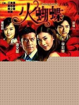 火蝴蝶2008海报剧照
