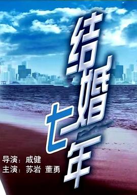 结婚七年海报剧照
