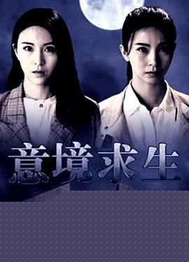 意境求生海报剧照