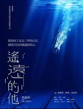 遥远的他海报剧照