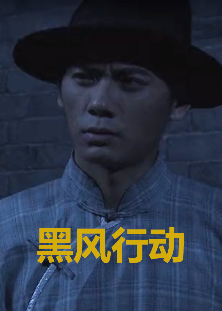 黑风行动海报剧照