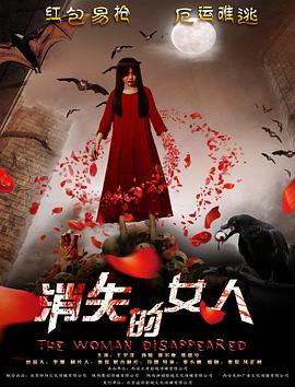 消失的女人2016海报剧照