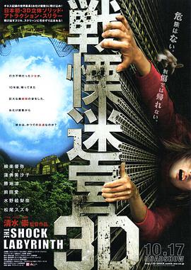 战栗迷宫3D海报剧照