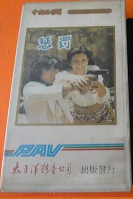 惩罚1980海报剧照