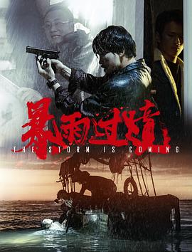 暴雨过境海报剧照