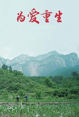 为爱重生海报剧照