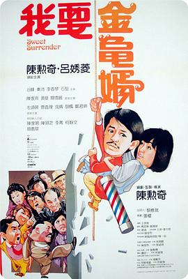 我要金龟婿海报剧照