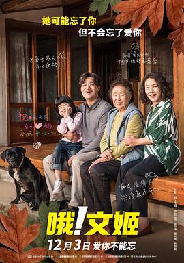 哦！文姬海报剧照