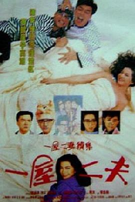 一妻两夫海报剧照