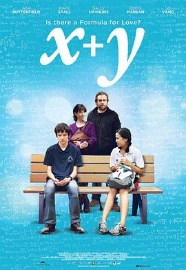 X加Y海报剧照