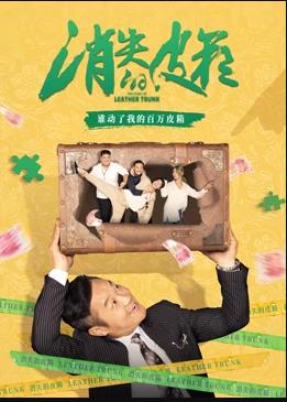 消失的皮箱海报剧照