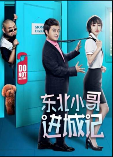 东北小哥进城记海报剧照