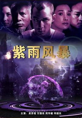 紫雨风暴海报剧照